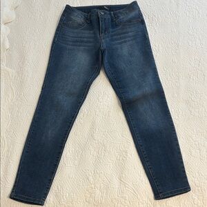 1822 Denim Blue Skinny Jeans